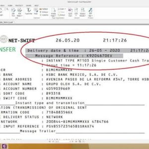 How Scammers Make Millions With MT103 Software