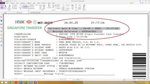 How Scammers Make Millions With MT103 Software